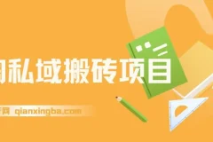 淘私域搬砖项目，利用信息差月入5W，每天无脑操作1小时，后期躺赚