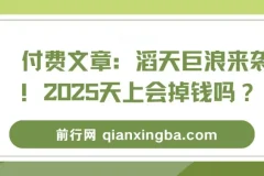 付费文章：滔天巨浪来袭！2025天上会掉钱吗？