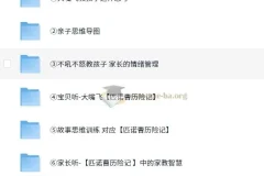 育儿必备【如何培养孩子】【启蒙系列】【亲子类】大嘴飞《思维大课包》 MP4/PNG 9.1G