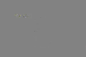 西瓜视频流量掘金蓝海项目:小白暴力玩法日入数百