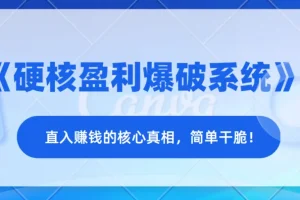 《硬核盈利爆破系统》——直入赚钱的核心真相，简单干脆！