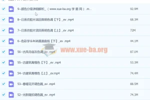 【抖音 青林调色课堂】青林手机修图系统课程299