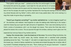 2024高考英语冲刺密训：龙坚名师阅读押题+7周系统突破