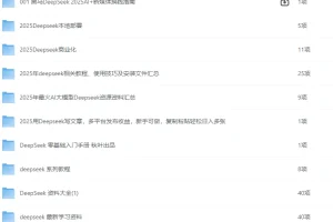 《DeepSeek大汇总，目前全网最全的DeepSeek》[pdf]