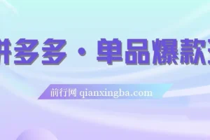拼多多·单品爆款班，一个拼多多超级爆款养一个团队（5节直播课）