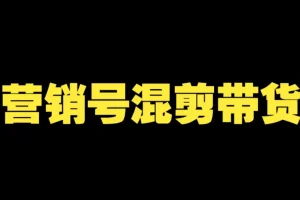 营销号混剪带货，从内容创作到流量变现的全流程，教你用营销号形式做混剪带货