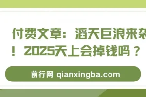 付费文章：滔天巨浪来袭！2025天上会掉钱吗？