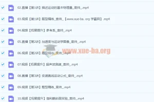 2024高一物理 袁帅物理 A+暑假班