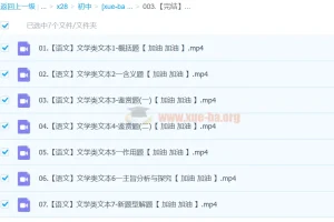 【完结】【024中考语文文学类文本一本通