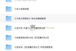 育儿必备【如何培养孩子】【启蒙系列】【亲子类】大嘴飞《思维大课包》 MP4/PNG 9.1G