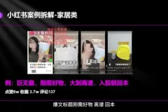 小红书运营秘籍：高点赞、增粉、转化全攻略