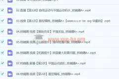 2024高中物理 高一林婉晴物理 寒假班