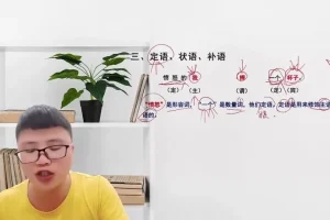 成语精讲30课+语法3讲：小学语文必会成语解析