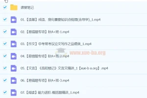 2025初三中考语文 柳宁语文 暑假班