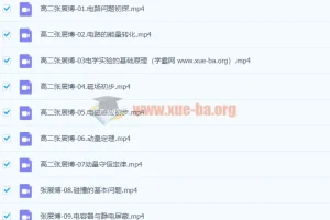 2024高二物理 张展博物理 一轮 暑假班