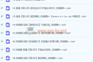 2024高中物理 高一林婉晴物理 寒假班