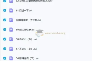 李波老师 李波家庭教育实战+走心家族