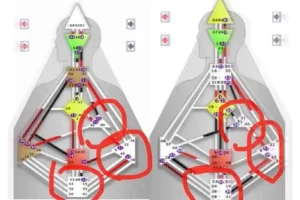 人类图解析：解锁你的独特人生路径