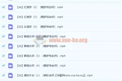 爱上语文 古代六大名著解读26讲完结