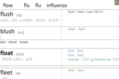 光速英语高阶词汇速记（9000-10000词）