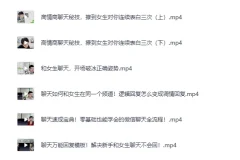 《爱上情感恋爱精品课，告别尬聊+感情快速升温》[MP4]