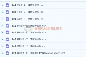 爱上语文 古代六大名著解读26讲完结