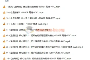 费勇讲《金刚经》《心经》：教你断离一切烦恼