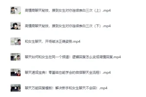 《爱上情感恋爱精品课，告别尬聊+感情快速升温》[MP4]