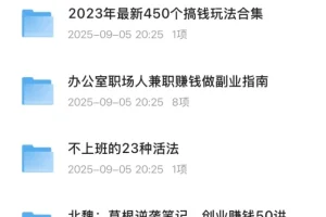 《各种搞钱信息资料汇总合集》自媒体，赚钱副业（建议收藏）[PDF][21GB]