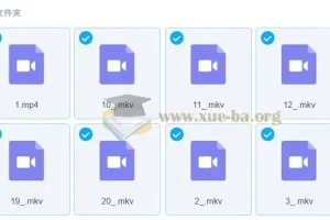 宋茗【2023春】初二英语春季目标S （人教版通用）