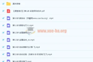 赵潇飞 2021秋 初三化学秋季尖端班 16讲带讲义