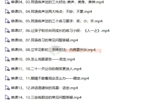 【殷亚敏】一学就会的演讲课 开口就是影响力