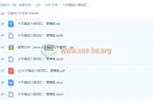 十天搞定六级词汇：便携版