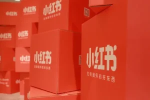 小红书电商实操课，0基础小白轻松上手，掌握小红书基本玩法规则，讲解小红书人群属性