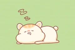21天高效休息法训练营