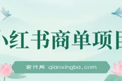 小红书商单项目，2023最强蓝海项目，没有之一！