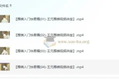 围棋入门快易精-王元围棋视频讲座