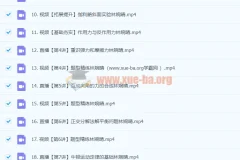 2024高中物理 高一林婉晴物理 暑假