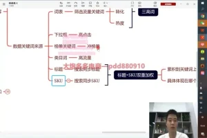 拼多多运营实战技巧：爆款打造与流量优化