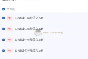 337晨读 小学语文 同步辅导资料 (部编版)