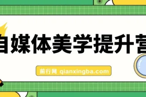 自媒体-美学提升营 手把手带你提升-品牌审美，做一个有调性博主（11节课）