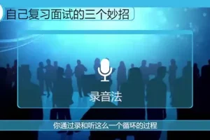 体制内生存与晋升：44节实战微课