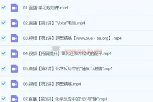 2024高一化学 林森化学 S寒假班