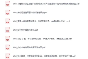 《生财有术：13GB付费资源大放送》[PDF]