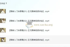 围棋入门快易精-王元围棋视频讲座