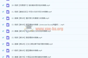 2024高中物理 高一林婉晴物理 暑假