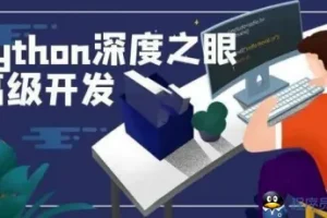 《深度之眼:Python编程高手之路 课程》[MP4]