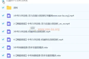 杨萌物理 2024初三中考物理 A+春季班（春下）