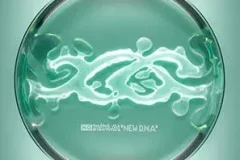 XG《NEW DNA》[无损FLAC/MP3/393MB]