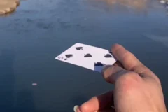 飞牌教程，小时候想着当飞牌杀手现在来了